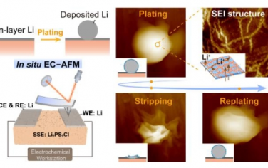 Angew：全固态锂金属电池中通过现场形成的固体电解质界面调节锂沉积/剥离的纳米级可视化