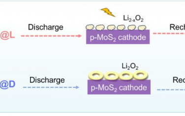 Angew：光促进锂氧电池的界面可逆性