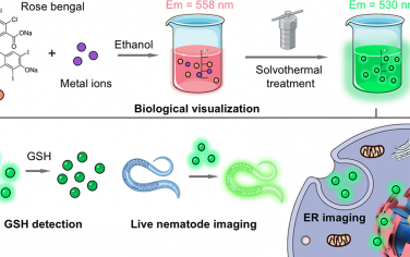 Nano Lett：超亮绿色发射纳米点用于实现精准的生物可视化
