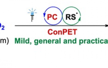 四川大学JACS：光催化CO2对C(sp3)-H羧酸化