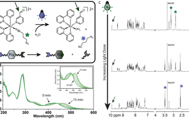 JACS：生物发光共振能量转移(BRET)可介导自发光的光响应性生物材料实现蛋白质释放