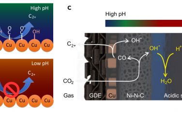 南方科技大学Joule：Ni催化剂调节pH改善酸性电催化还原CO2