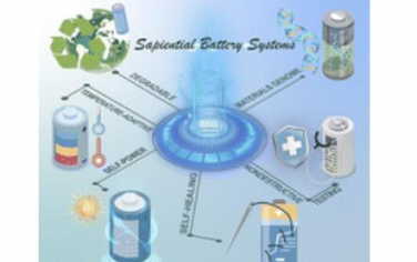 Chem. Soc. Rev.：智能电池系统：超越传统电化学能源