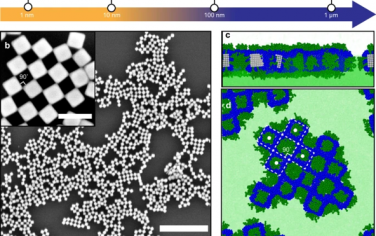 Nature Communications：通过非特异性相互作用实现纳米晶体棋盘图案的自组装