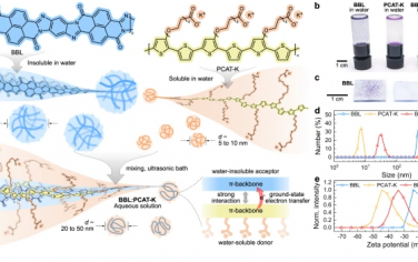 Nature Commun：基态电子转移构筑水溶导电聚合物半导体