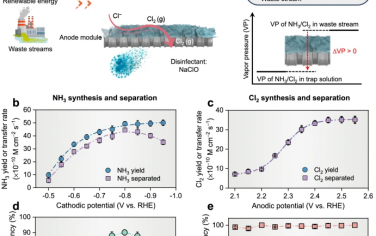 Nature Commun：无膜配位电催化体系处理废水合成NH3和Cl2并且同时分离产物