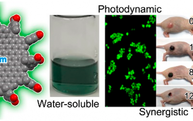 JACS：可溶性纳米石墨烯C222用于协同光动力/光热治疗
