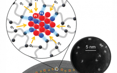 AEM：用于质子交换膜燃料电池的碳包覆Pt合金簇催化剂
