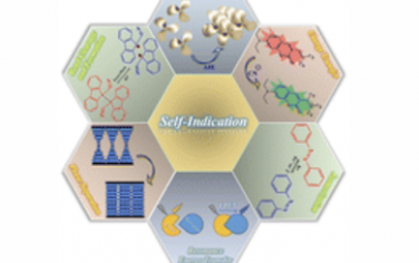 Chem. Soc. Rev.：智能材料中的自指示聚合物