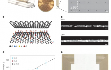 Nature Nanotechnology：高密度透明石墨烯阵列用于从表面电位记录预测深度细胞钙活性