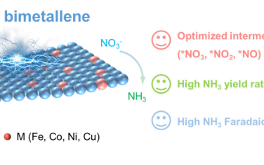 Angew：双金属合金电催化还原硝酸盐制氨