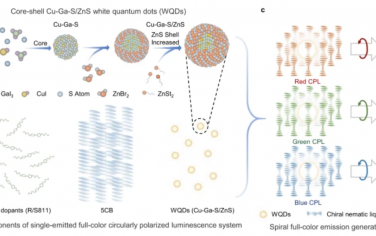 Nat. Commun.：螺旋笼能够实现单次发射的大的不对称全色圆偏振发光