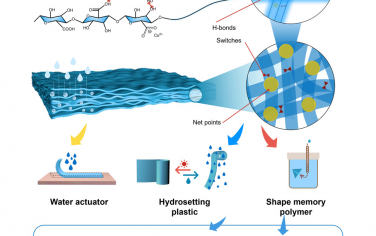 Matter：水致动、形状记忆的生物聚合物