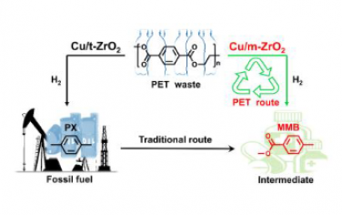 Angew：Cu/ZrO2催化剂下聚对苯二甲酸乙二醇酯选择性升级回收制备高氧化学苯甲酸甲酯