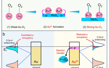 Nature Commun：Au助催化剂增强光催化制备H2O2