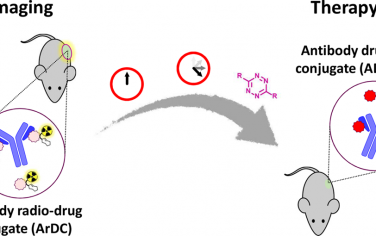 JACS：抗体偶联的SPECT探针到细胞毒性有效载荷的按需生物正交转换