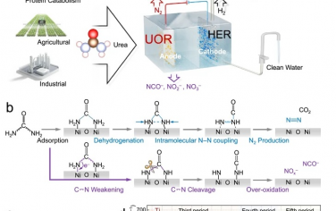 Nature Commun：Ni-O-Ti不对称位点促进电化学尿素氧化生成N2
