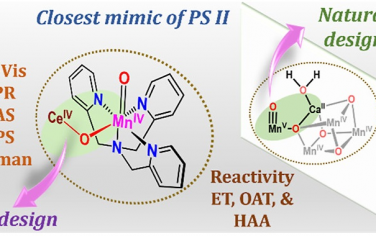 JACS：发现PSII类似的MnIV(O)(μ-O)CeIV中间体并且研究其反应性