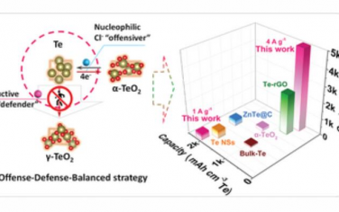 AEM：通过攻守平衡策略促进碲氧化转化并实现高能长寿命锌电池