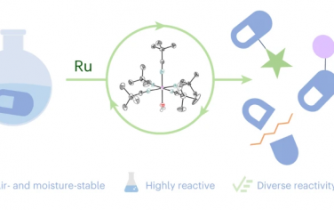 Nature Chem：一种对空气水蒸气稳定的Ru预催化剂