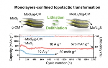 JACS：通过原子层限制拓扑转变实现超快锂存储的可重构碳单层-MoS2插层异质结构