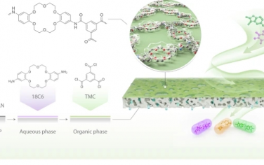 Nat Commun：用于有机溶剂中药物成分分离的超选择性大环膜