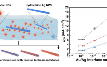 复旦大学Angew：纳米晶体-纳米线组装构筑电催化还原CO2