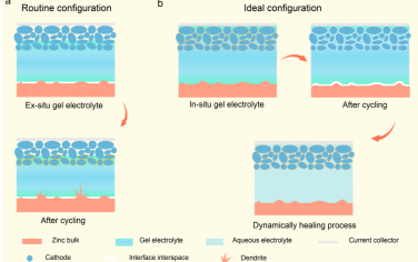 Angew：用于可持续准固态锌离子电池的可热修复的电解质-电极界面