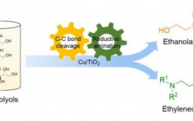 Angew：Cu/TiO2 催化剂光催化从生物多元醇生产乙醇胺和乙二胺