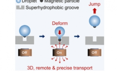 ACS Nano：超疏水凹槽表面上液滴的磁驱动跳跃：三维液滴传输的多功能策略