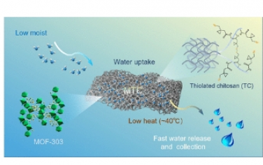 ACS Nano：低湿度下具有超高吸收释放效率的常压集水器