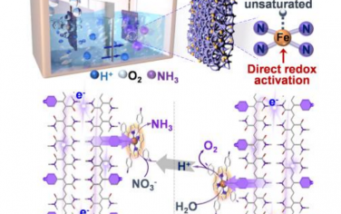 浙江大学Angew：导电有机基底构筑高活性Fe电催化转化硝酸盐和水
