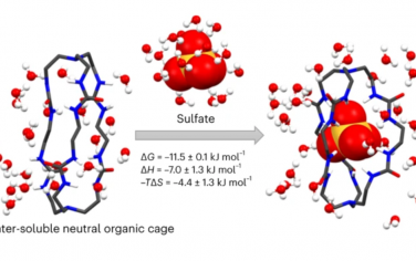 Nature Chemistry：电荷中性有机笼选择性结合水中的强水合硫酸根阴离子