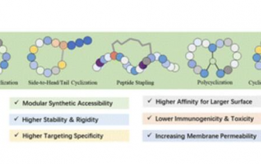 Chem. Soc. Rev.：肽大环化策略的最新进展