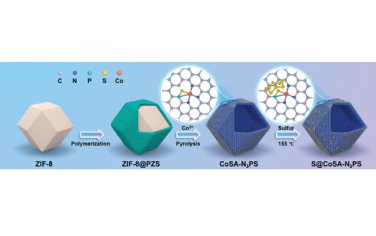 Adv Mater：P，S共配位单原子Co用于Li-S电池