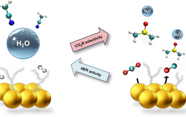 Nature Catalysis：构筑氢键网络降低HER对电催化CO2的影响