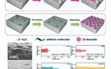AEM：无枝晶水性锌离子电池的溶解机理
