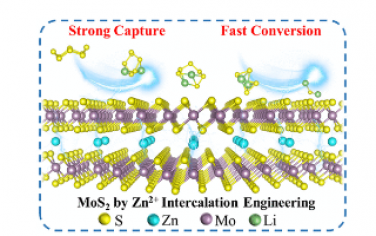 ACS Nano：通过 Zn2+ 嵌入工程提高锂-硫电池 MoS2 中的电荷传输和催化性能