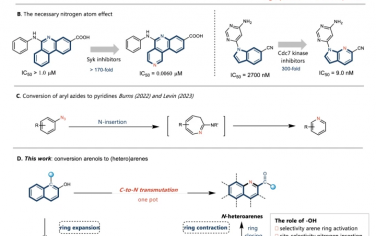 Nature Communications：多环芳烃骨架中的碳氮转化获取N-杂芳烃