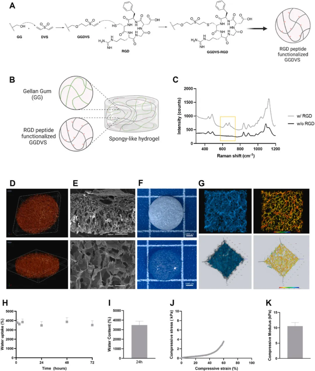 Bioactive Materials：预血管化海绵状水凝胶在长时间低温储存后保持其血管生成潜力