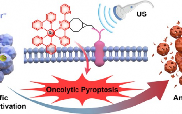ACS Nano：生物正交/超声激活的溶瘤细胞焦亡可增强原位肿瘤疫苗以改善抗肿瘤免疫