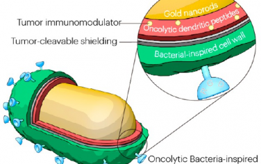 ACS Nano：系统给药仿细菌纳米系统以用于靶向溶瘤治疗和抗肿瘤免疫调节