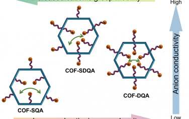 天津大学JACS：调控COF的阳离子官能团密度增强阴离子输送能力