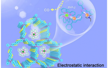 福州大学Angew：离子型COF的静电限域激子增强光催化还原CO2性能