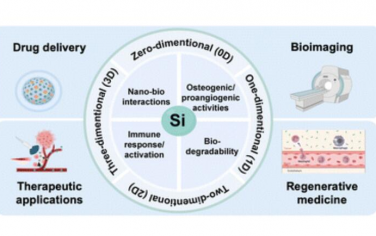 Chem. Soc. Rev.：含硅纳米医学与生物材料中材料化学、多维设计与生物医学应用