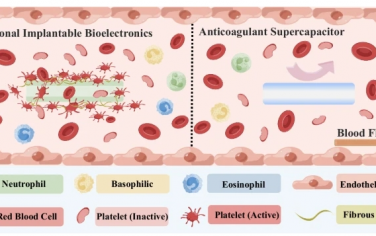 Nat Commun：用于植入式应用的抗凝超级电容器