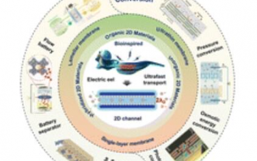 Chem. Soc. Rev.：用于能源应用的仿生2D纳米流体膜