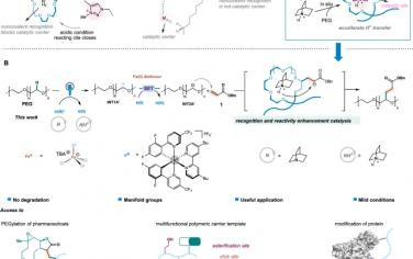 Nature Commun：铵阳离子非共价相互作用促进聚乙二醇C-H键活化