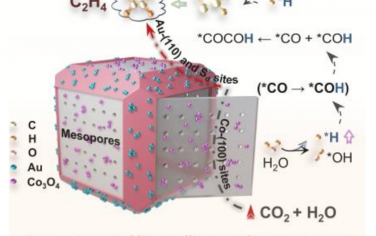 内蒙古大学Angew：晶面设计介孔CuS反应器增强光催化还原CO2制备C2H4