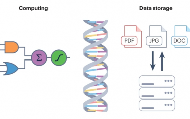 樊春海等Nature Review Chem：DNA用于计算和数据存储